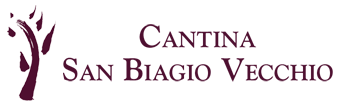 San Biagio Vecchio Winery